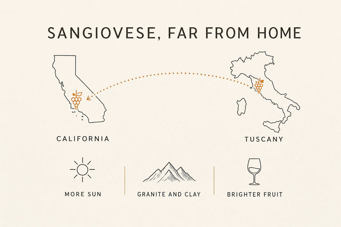 Infographic: Sangiovese from Tuscany to California