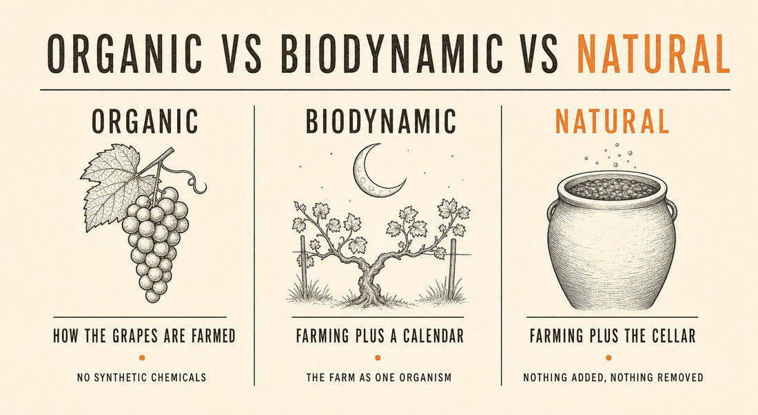 Infographic: organic versus biodynamic versus natural wine explained
