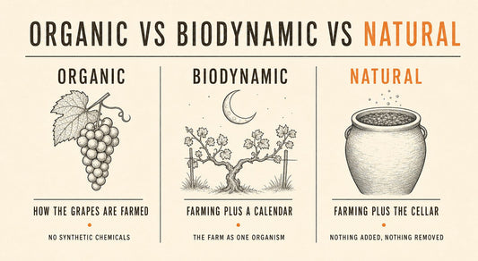 Infographic: organic versus biodynamic versus natural wine explained