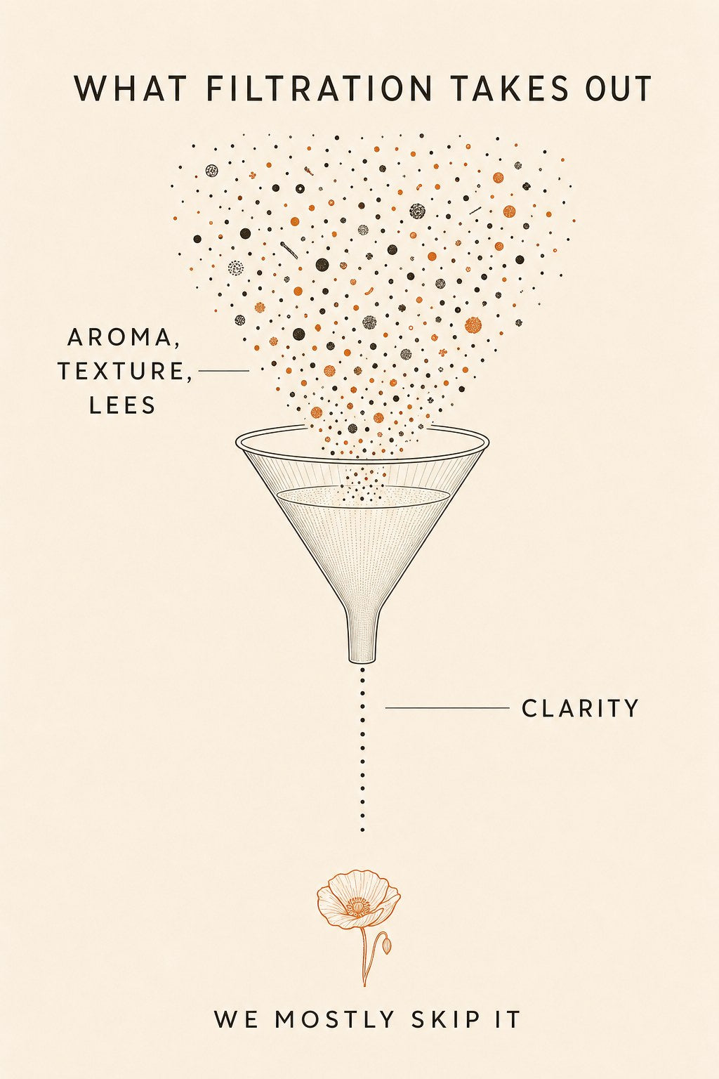 Infographic: what wine filtration removes, aroma, texture, lees