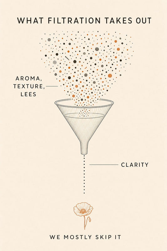 Infographic: what wine filtration removes, aroma, texture, lees