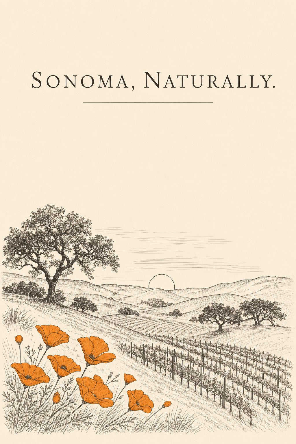 Illustration: Sonoma vineyard hills with California poppies