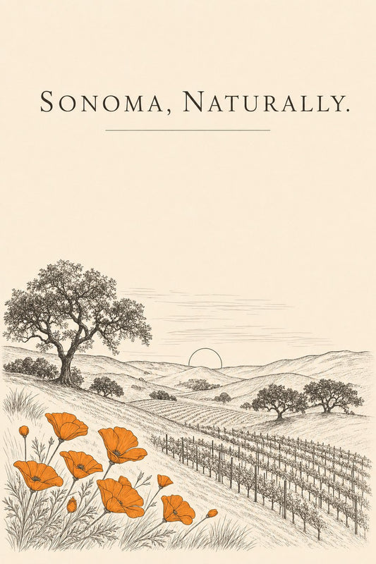 Illustration: Sonoma vineyard hills with California poppies
