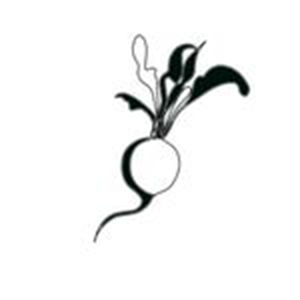 Black Radish