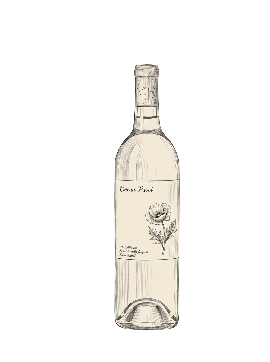 Coteau Pavot bottle illustration
