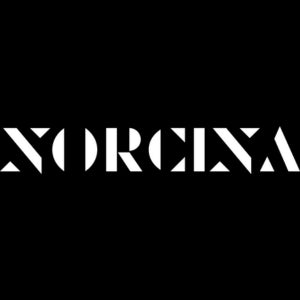 Norcina logo