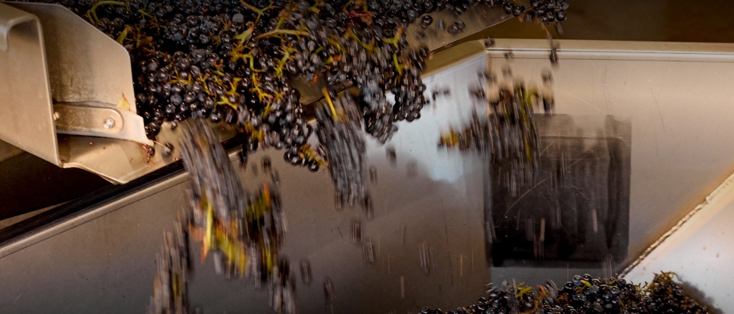 Wine Making